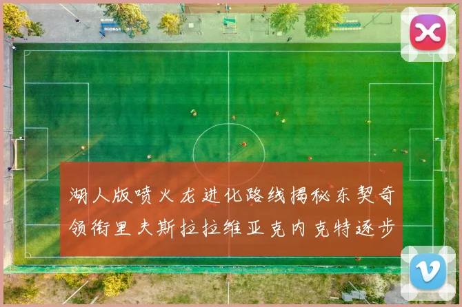 湖人版喷火龙进化路线揭秘东契奇领衔里夫斯拉拉维亚克内克特逐步崛起