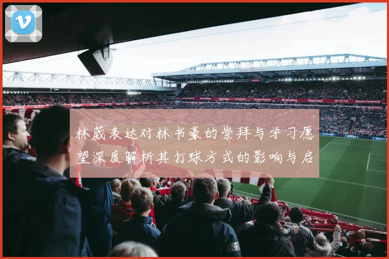 林葳表达对林书豪的崇拜与学习愿望深度解析其打球方式的影响与启发