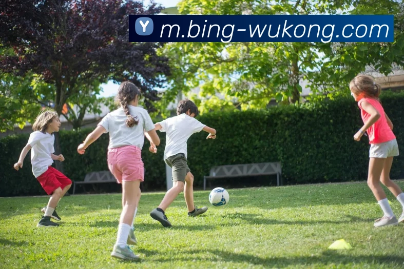 悟空体育发展历程